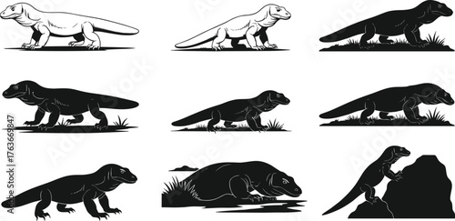 Komodo Dragon Vector Illustration Set in Natural Poses and Terrain, Wildlife Reptile Art for Zoology, Nature, and Stock Use