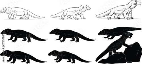 Komodo Dragon Drawing Evolution with Silhouettes, Artistic Process from Sketch to Dynamic Pose, Wildlife Reptile Vector Illustration Series