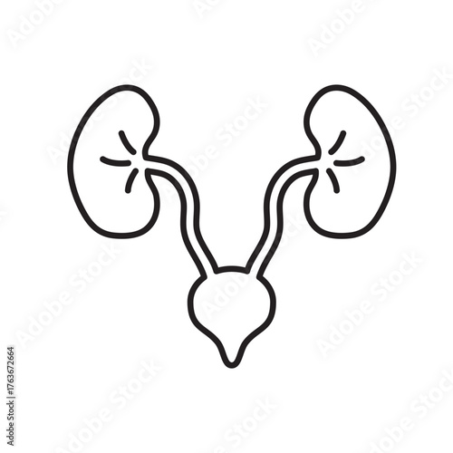 kidney icon vector healthy sign  web design 