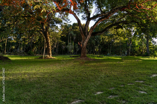 Photos jardin botanico de santo domingo republica dominicana