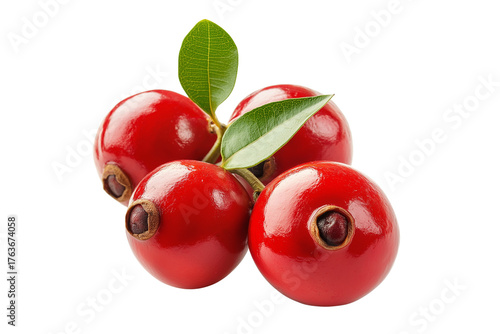 Red Guarana Fruit PNG Isolated on Transparent Background. Fresh Guarana Berry Red Isolated Transparent.