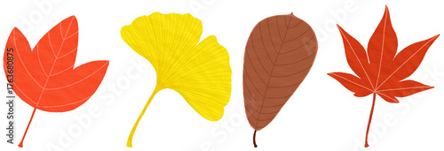 This is an image of colorful autumn leaves.