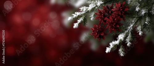 Close-up of Christmas tree branches with red decorations and white snowflakes, Christmas theme with dark color palette and dark burgundy background.