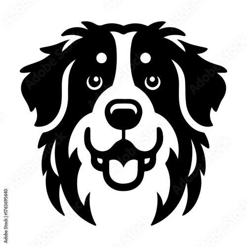 Bernese Mountain Dog Portrait: A Friendly Canine Face.