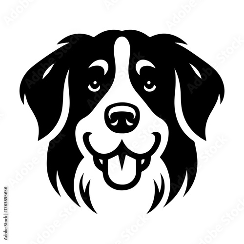 Bernese Mountain Dog Face Portrait Black and White Illustration.