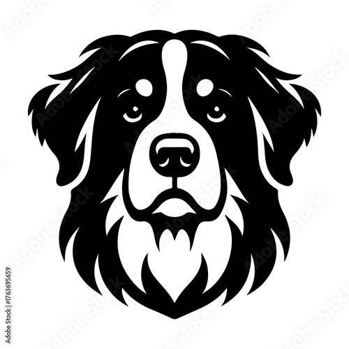 Bernese Mountain Dog Portrait: Majestic and Loyal Companion.