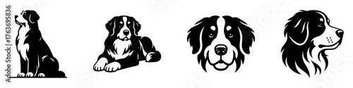 Bernese Mountain Dog Illustrations: A Collection of Poses and Portraits.