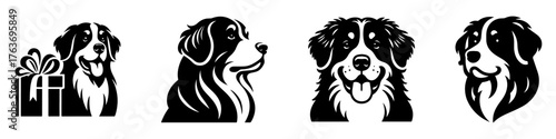 Bernese Mountain Dog Illustrations: A Collection of Artistic Dog Portraits.