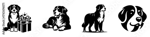 Bernese Mountain Dog Illustrations: A Collection of Artistic Dog Portraits.