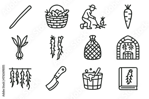 Basket garlic wild burdock guidebook vector root storage icons digging ground icon