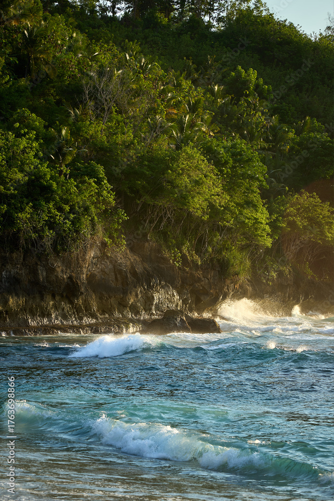 Obraz premium river in the forest