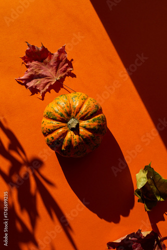 Pumpkin with autumn leaves on a orange background, hard light. Autumn composition for Thanksgiving Day, still life background. Vertical orientation.