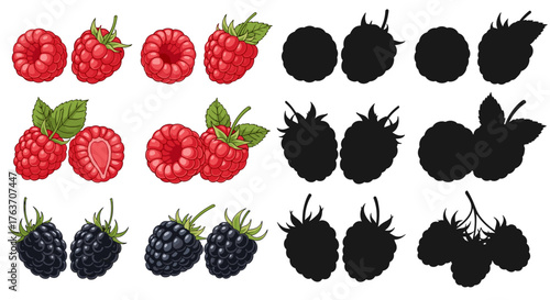 Fresh Ripe Berries: Raspberries and Blackberries Isolated on White Backdrop, Food Illustration for Healthy Eating Promotion, Summer Harvest, Vegan Recipe, Nutrition Guide, Watercolor Clip Art Design,