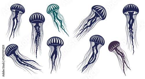 Elegant Jellyfish Assemblage in Marine Still Life: Nautical Wonders Underwater with Translucent Tentacles in Deep Ocean - Sea Creature Biodiversity for Education, Science Illustration, Oceanography, A