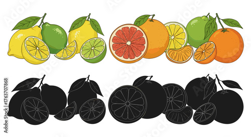 Fresh Citrus Fruits Arrangement: Lemons, Limes, Grapefruits, Oranges Assortment for Healthy Eating, Juicing, Detox Diet, Summer Drinks. Vibrant Colored Vector Graphic for Recipes, Nutrition Guides, Ma