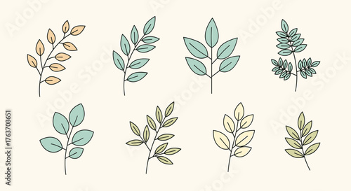 Set of eight hand-drawn botanical leaf and branch illustrations.