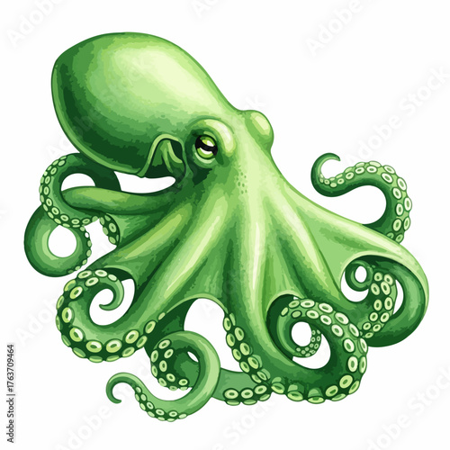 Green octopus illustrated in detailed, vibrant style showcasing ocean creature with swirling tentacles and textured skin. Detailed green octopus artwork displays complex anatomy and striking color.