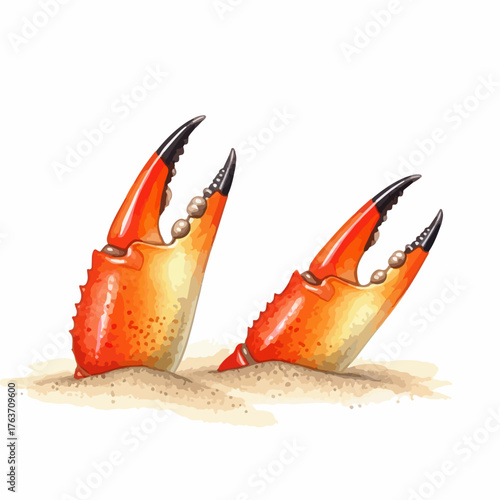 Orange crab claws emerging from sand, showing detailed texture and vibrant color. Red crab claws with black tips present marine life and coastal concept.