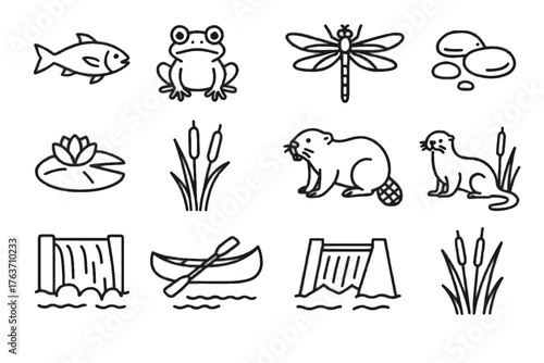 Ecosystem pad otter beaver vector lily waterfall dragonfly dam icons icon river
