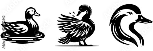 Elegant Duck Illustrations: A Trio of Graceful Avian Designs.