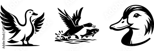 Duck Illustrations: A Collection of Black and White Vector Graphics.