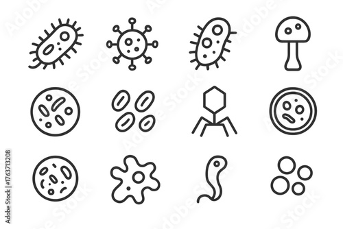 Petri icon compilation culture dish microorganism vector amoeba fungus colony bacteria bacteriophage