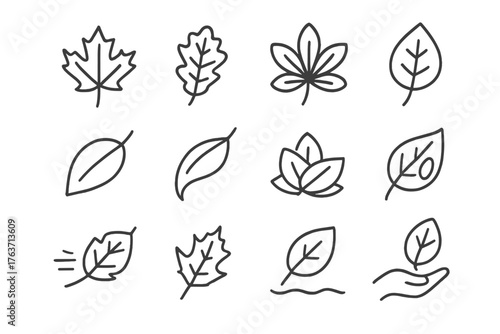 Curled birch vector holding autumn chestnut leaf hand icons icon floating maple