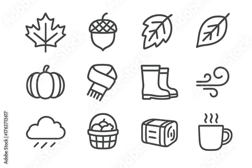 Rain maple vector icon autumn icons pumpkin drink bale leaf wind essentials