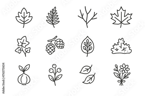 Ivy leaf icon autumn seasonal patch moss icons orange vector dry botanical