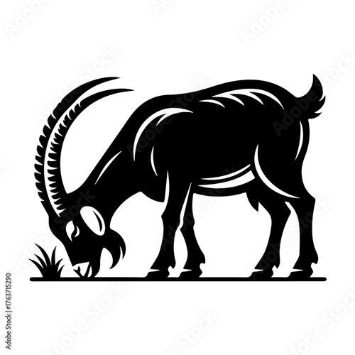 Silhouette of a goat grazing on grass black and white image.