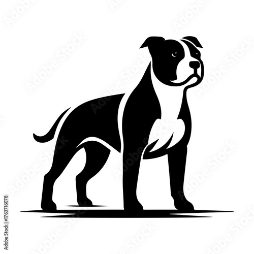 Black and White Pitbull Dog Silhouette Standing Proudly.