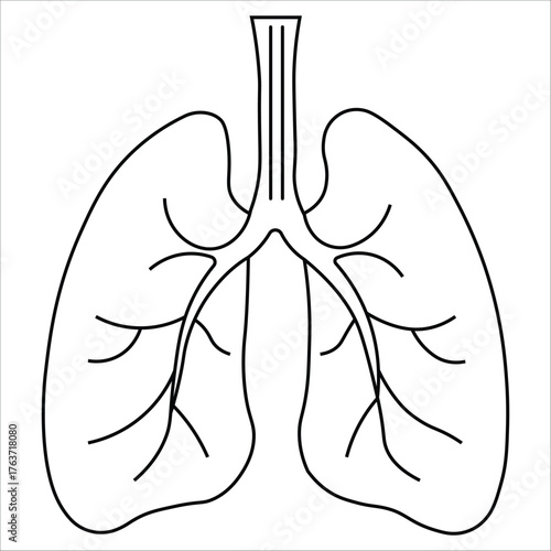 Lungs Icon. Vector editable linear simple illustration of lungs
