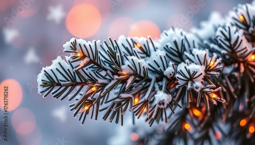 Closeup of Frosty Fir Tree Branch with Snow and Warm Bokeh Christmas Lights_2