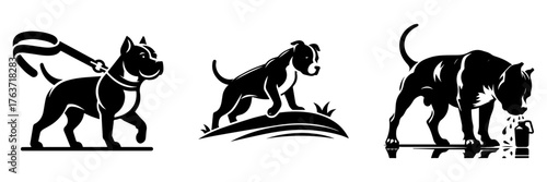 Pitbulls in Various Poses: Walking Standing and Drinking Water.