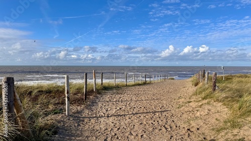 An empty sand path with ocean view in the dunes in Holland outdoor at daytime during autumn in Noordwijk aan Zee in The Netherlands with space for text.