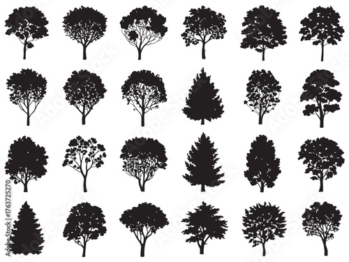 Collection of Black Tree Silhouettes for Design Projects