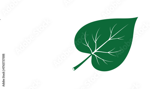 Fresh green leaf macro closeup, isolated on a white background, symbolizing natural growth and spring freshness