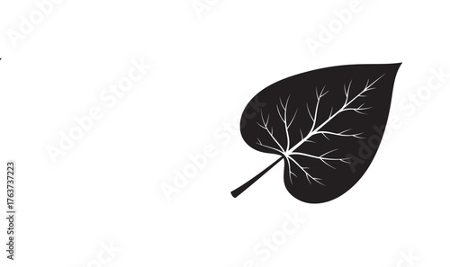 Macro closeup of a green leaf isolated on a white background showing the plant's vibrant nature