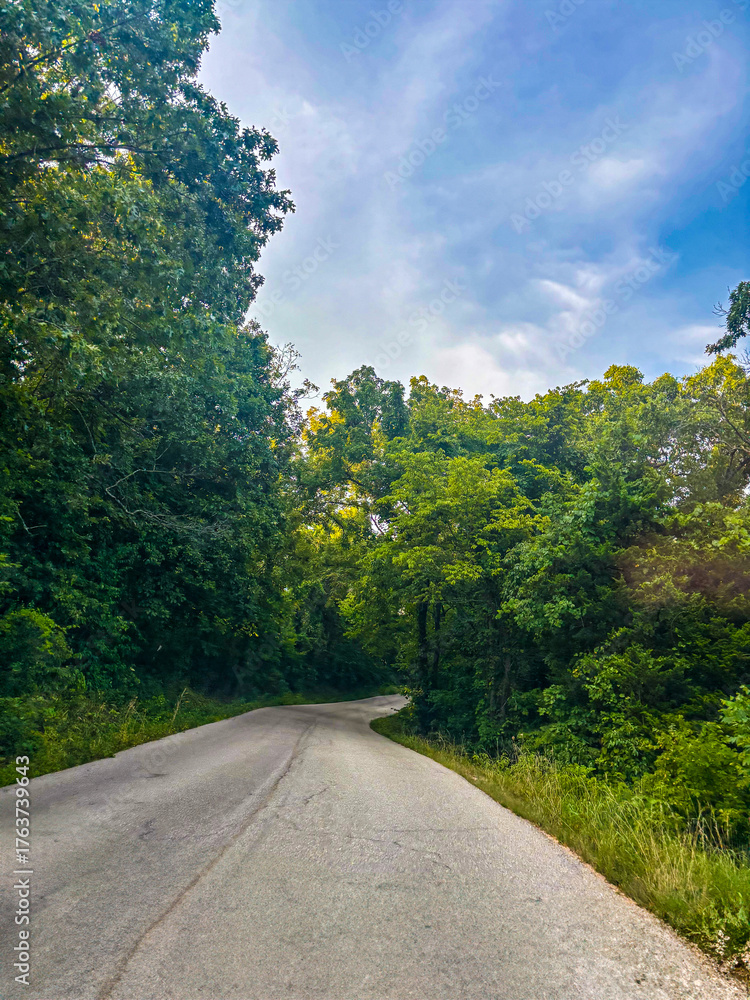 Fototapeta premium winding road in the forest