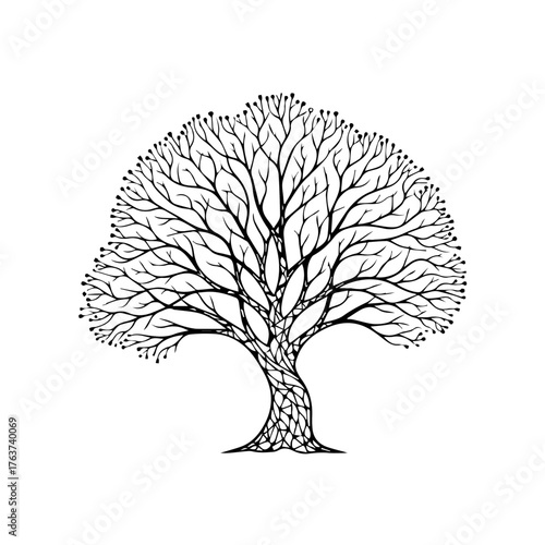 Illustration of a Majestic Tree, Nature Art, Minimalist Design, Organic Structure, Black and White, Artistic Perspective, Growth Concept