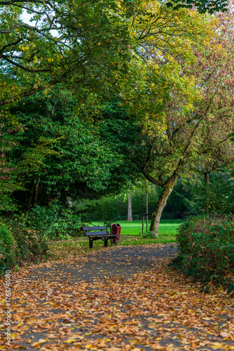Autumn scene in an urban public park with a winding footpath leading through grass, bushes, and trees with golden leaves, beside a wooden park bench.