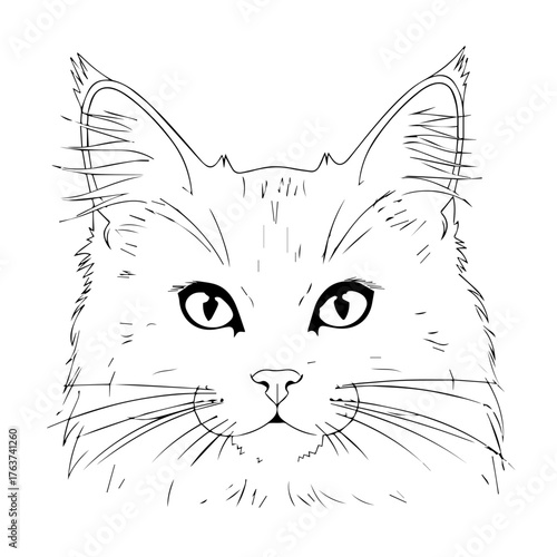 Illustration of a Majestic Cat's Face in Black and White Art Style