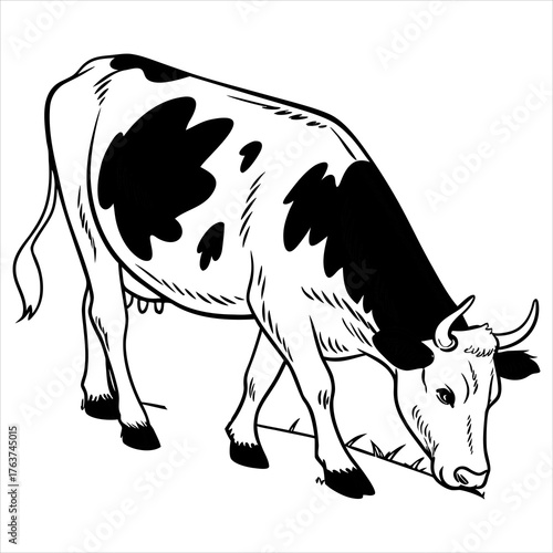 cow vector