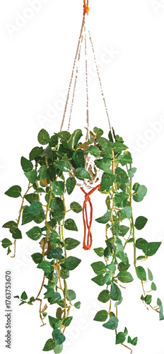 a hanging macrame plant hanger with green leaves and orange string, against a plain blank white background
