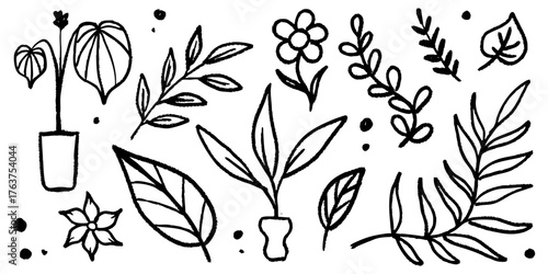 Hand drawn flower plant scribble vector collection. Abstract flowers and leaves are made with rough black ink brush strokes
