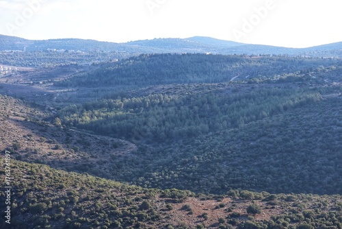 Galille mountain landscape