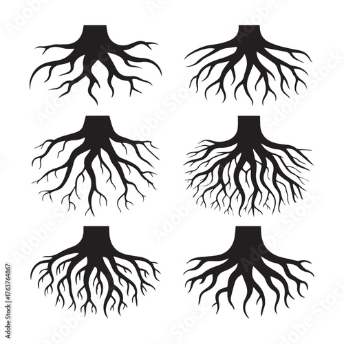 Tree root system isolated on white background, showcasing natures intricate network for growth, stability, and life support