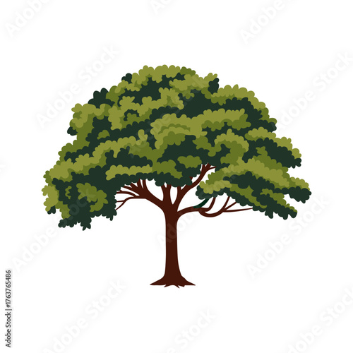 A big green tree. Oak