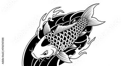 Dramatic koi fish illustration on white background showing oriental mythology