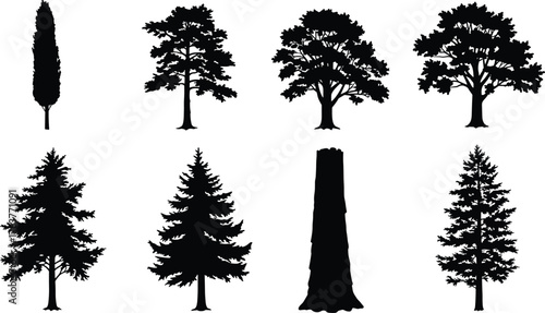 Collection of different tree silhouettes including pine, oak, cypress, and tree trunk for forest, landscape, and nature design